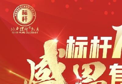 標(biāo)桿十年，感恩有您，民營(yíng)企業(yè)，萬(wàn)人盛典圓滿(mǎn)成功舉辦.mp4